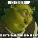 Oops shrek | WHEN U BURP; AND A BIT OF BARF COMES UP IN UR MOUTH | image tagged in oops shrek | made w/ Imgflip meme maker