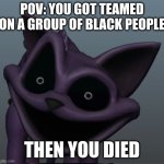 you got teamed on a group of black people | POV: YOU GOT TEAMED ON A GROUP OF BLACK PEOPLE; THEN YOU DIED | image tagged in live catnap reaction | made w/ Imgflip meme maker