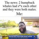 Yes, it's real. The news has seen everything. | The news: 2 humpback whales had s*x each other and they were both males. Me: | image tagged in hold up wait a minute something aint right,memes,funny,whale | made w/ Imgflip meme maker