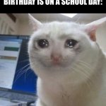 mines always on a Wednesday :/ | WHEN YOU FIND OUT YOUR
BIRTHDAY IS ON A SCHOOL DAY: | image tagged in crying cat,birthday,relatable,school,cats | made w/ Imgflip meme maker