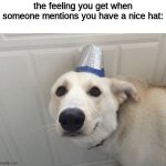title | the feeling you get when someone mentions you have a nice hat: | image tagged in dog nice hat,memes,dogs,dog,funny | made w/ Imgflip meme maker