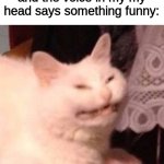 Cat Laughing | me when im alone and the voice in my my head says something funny: | image tagged in cat laughing,memes,funny,cats,alone,cat | made w/ Imgflip meme maker