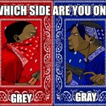im on team grey | GREY; GRAY | image tagged in which side are you on,grey,gray,spelling | made w/ Imgflip meme maker