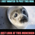 Seal | I JUST WANTED TO POST THIS MAN. JUST LOOK AT THIS MUNCHKIN | image tagged in seal | made w/ Imgflip meme maker
