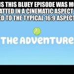 why just why | WHY IS THIS BLUEY EPISODE WAS MOSTLY FORMATTED IN A CINEMATIC ASPECT RATIO AS OPPOSED TO THE TYPICAL 16:9 ASPECT RATIO 🤔 | image tagged in the adventure,bluey,movie,pixar,disney | made w/ Imgflip meme maker