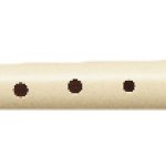 Recorder