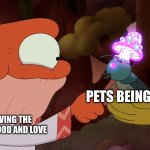 da cuteness | PETS BEING CUTE; HUMANS GIVING THE FREE SHELTER FOOD AND LOVE | image tagged in a truce,amphibia | made w/ Imgflip meme maker