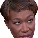 JOY REID PIGOT