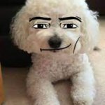 da doggo