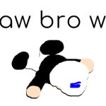 sron1 naw bro wtf meme