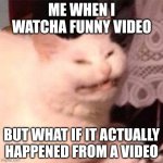 Reality | ME WHEN I WATCHA FUNNY VIDEO; BUT WHAT IF IT ACTUALLY HAPPENED FROM A VIDEO | image tagged in cat laughing | made w/ Imgflip meme maker