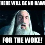 There will be a reckoning! You best believe that, you w*** ****s. | THERE WILL BE NO DAWN; FOR THE WOKE! | image tagged in memes,funny,funny memes,fun,saruman,woke | made w/ Imgflip meme maker
