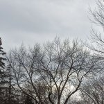 Cloudy Sky Outside My Front Door