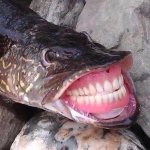 mouth Boca fish pez