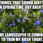 Things That Sound Dirty: Springtime Edition | THINGS THAT SOUND DIRTY IN SPRINGTIME, BUT AREN'T:; THE LANDSCAPER IS COMING
 TO TRIM MY BUSH TODAY. | image tagged in shrubbery,humor,funny,pun,double entendre | made w/ Imgflip meme maker