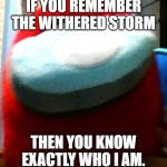 natemong_us is back with spicy memes, and big dreams! | IF YOU REMEMBER THE WITHERED STORM; THEN YOU KNOW EXACTLY WHO I AM. | image tagged in hug my plush | made w/ Imgflip meme maker