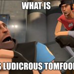 Yo what's up ? | WHAT IS; THIS LUDICROUS TOMFOOLERY | image tagged in yo what's up | made w/ Imgflip meme maker