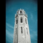 ivory tower