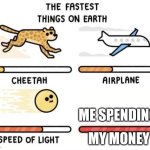 The fastest things on earth: cheetah, airplane, speed of light, | ME SPENDING; MY MONEY | image tagged in the fastest things on earth cheetah airplane speed of light | made w/ Imgflip meme maker