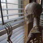 skeleton waiting window