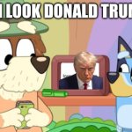 oh look a meme | OH LOOK DONALD TRUMP | image tagged in oh look a meme | made w/ Imgflip meme maker