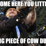 The groundhog lied | COME HERE YOU LITTLE; LYING PIECE OF COW DUNG! | image tagged in groundhog day | made w/ Imgflip meme maker