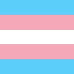 transflag meme