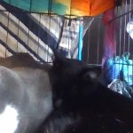 Elmer and Edna