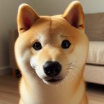 4K Ultra HD Doge