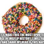 Istg I'll do it | LET'S MAKE THIS THE MOST UPVOTED IMAGE IN IMGFLIP HISTORY (I WILL FACE REVEAL AND SHAVE MY HEAD IF THIS HAPPENS) | image tagged in donut | made w/ Imgflip meme maker