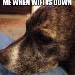 Dog sad | ME WHEN WIFI IS DOWN | image tagged in sad leo | made w/ Imgflip meme maker