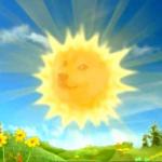 sun doge meme