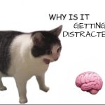 My brain: | GETTING DISTRACTED?! | image tagged in why is it empty | made w/ Imgflip meme maker