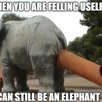 C'mon kid, stop being sad | WHEN YOU ARE FELLING USELESS; YOU CAN STILL BE AN ELEPHANT TURD | image tagged in elephant slide | made w/ Imgflip meme maker