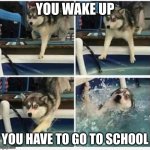 school is the worst | YOU WAKE UP; YOU HAVE TO GO TO SCHOOL | image tagged in dog falling in water,school | made w/ Imgflip meme maker
