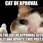 My new template! | image tagged in cat of aproval | made w/ Imgflip meme maker