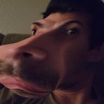 Hippo face