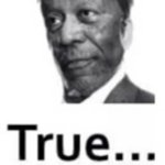 true morgan freeman