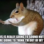 You're nuts | THIS IS REALLY GOING TO SOUND NUTS... YOU'RE GOING TO THINK I'M OUT OF MY TREE. | image tagged in calm down | made w/ Imgflip meme maker