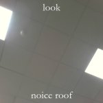 noice roof | look; noice roof | image tagged in nice roof,roof,memes | made w/ Imgflip meme maker