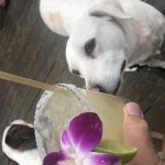 Margaritas