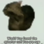 You found it! | Woah! You found the spinster cat! You are now immune to getting rickrolled! | image tagged in gifs,hehe | made w/ Imgflip video-to-gif maker