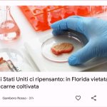 Florida vieta la carne coltivata