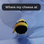 Where my cheese at