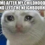 it is so sad | ME AFTER MY CHILDHOOD FRIEND LEFT THE NEIGHBOURHOOD: | image tagged in crying cat | made w/ Imgflip meme maker