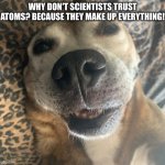 Silly doggo | WHY DON'T SCIENTISTS TRUST ATOMS? BECAUSE THEY MAKE UP EVERYTHING! | image tagged in silly doggo | made w/ Imgflip meme maker
