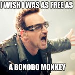 Bonobos are a beautiful day | I WISH I WAS AS FREE AS; A BONOBO MONKEY | image tagged in bono shouting,memes,bonobo,envy,humanity,u2 | made w/ Imgflip meme maker
