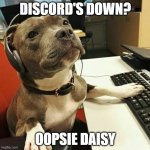 Oopsie daisy | DISCORD'S DOWN? OOPSIE DAISY | image tagged in pit bull tech support,discord,discorddown | made w/ Imgflip meme maker