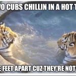 Two cubs chillin in a hot tub | TWO CUBS CHILLIN IN A HOT TUB; FIVE FEET APART CUZ THEY'RE NOT GAY | image tagged in radix tigers,tigers,hot tub,two bros chillin in a hot tub,vine,vines | made w/ Imgflip meme maker