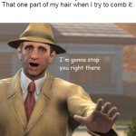 its so annoying | Nobody:
That one part of my hair when I try to comb it: | image tagged in im gonna stop you right there,relatable | made w/ Imgflip meme maker